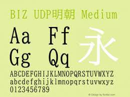BIZ UDPGothic Font